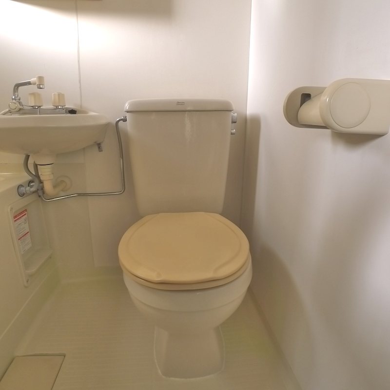 カメリア その他1