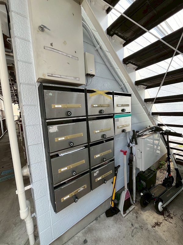 カメリア その他6