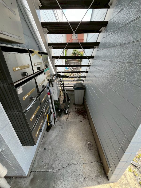 カメリア その他7