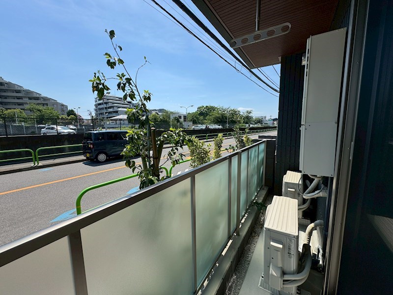 ジプソフィラ ベランダ