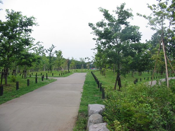 ブランプラス 周辺画像8