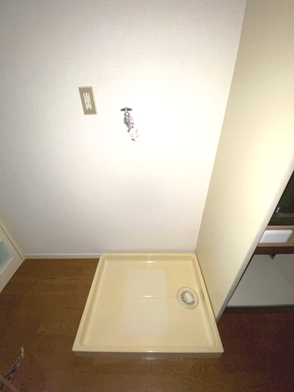 シルフィード その他2