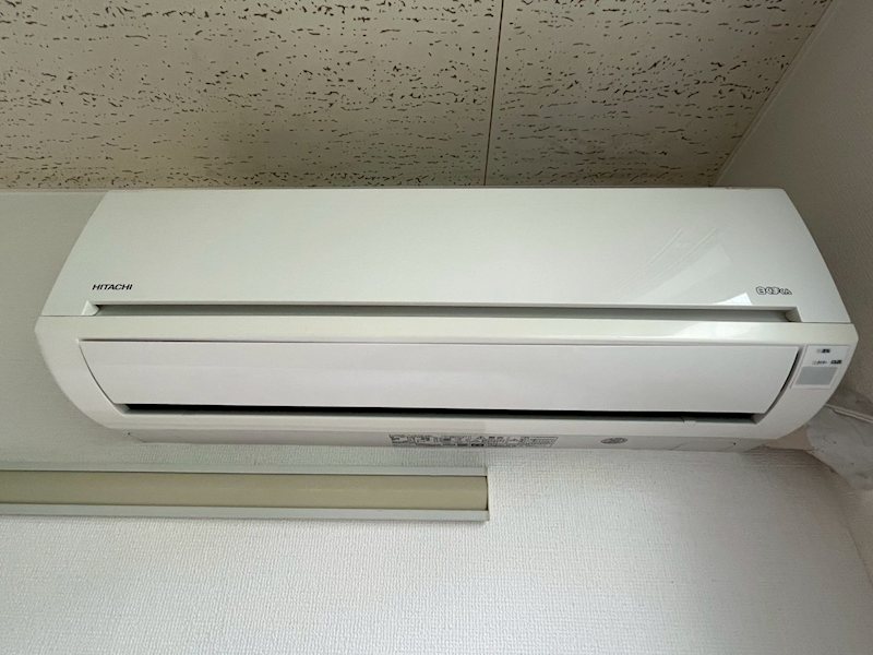 カメリア その他4