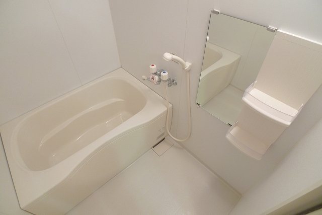 MAISON静琶（メゾンセイワ） 風呂画像