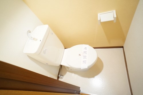 プリマヴェーラ その他1