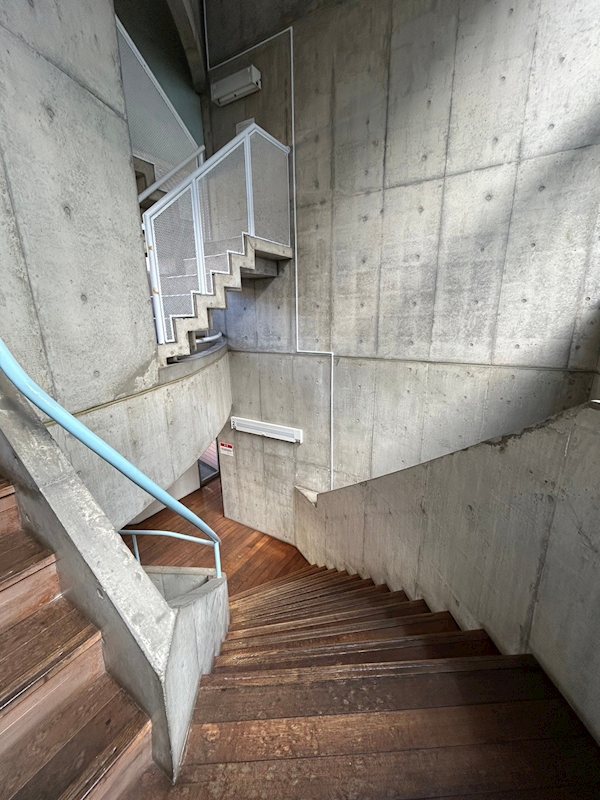 早稲田ステューデンス その他9