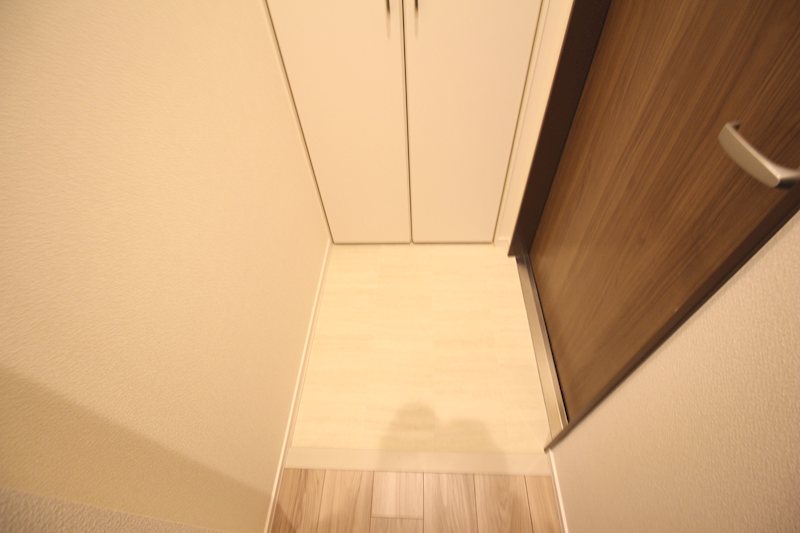 Maison de FleurⅡ（メゾンドフルール） 玄関