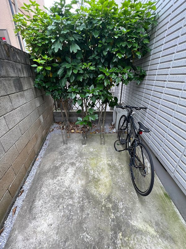 Maison de Fleur（メゾンドフルール） その他14