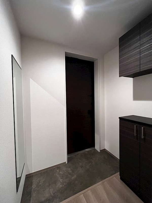 CASA arbol grande（カサ・アルボルグランデ） 玄関