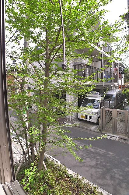 モンテ・ベルデ その他8