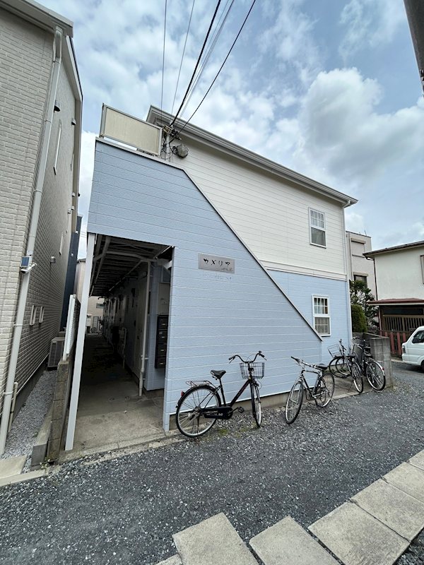カメリア その他8