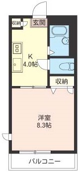 フラッツビエナ 203号室 間取り