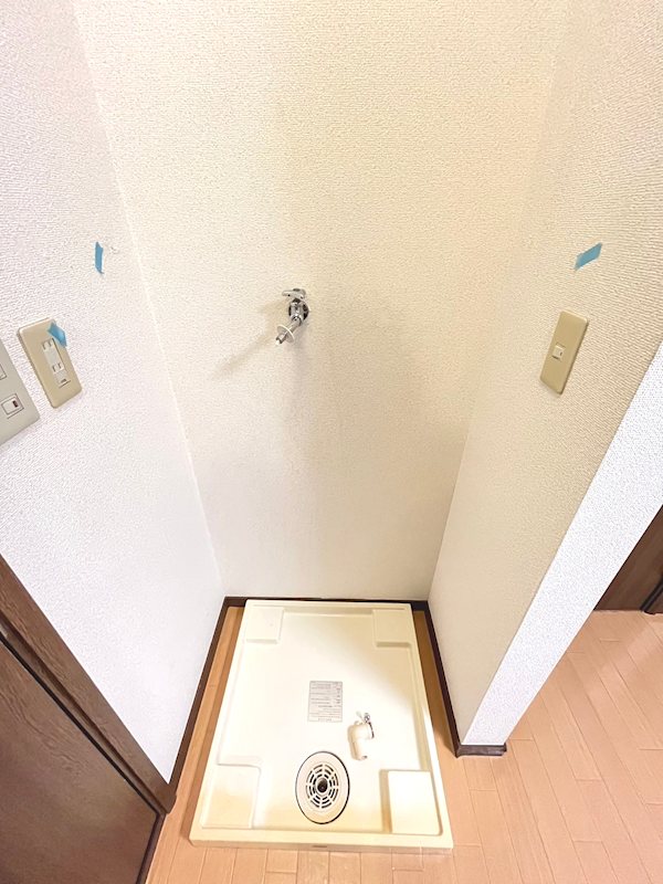 チェリーブロッサム その他6