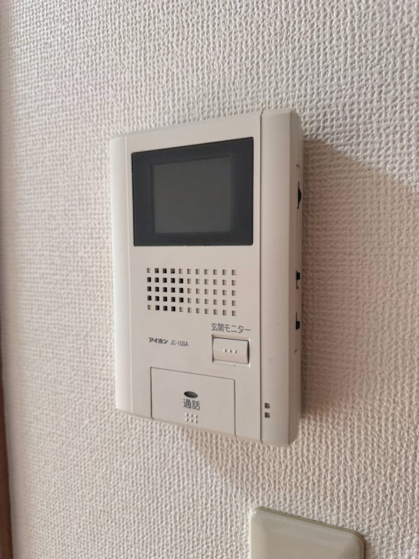 フラットハナタキ その他6