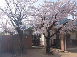 エスペランスグラン 幼稚園