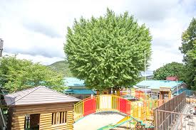エスペランスグラン 幼稚園