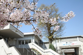 エルホワイト 中学校