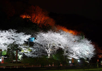 エクセレンス笹沖 公園