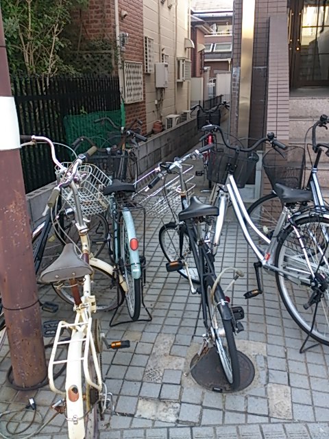 メゾンド八重 その他15