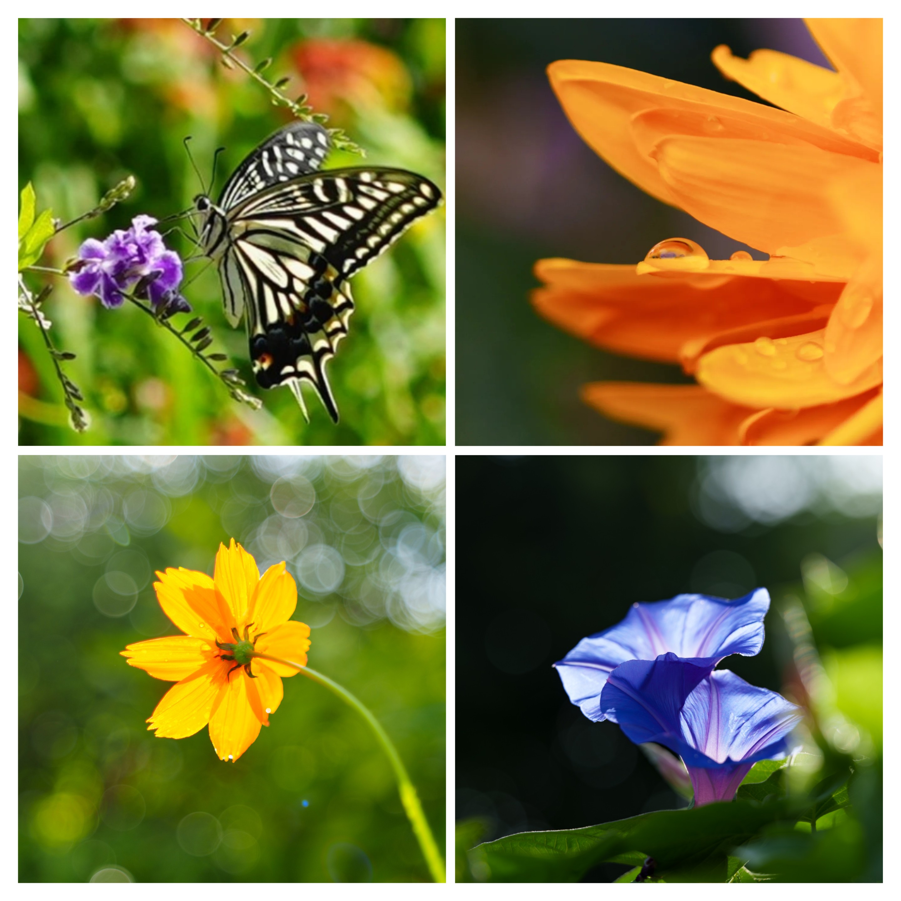 横田コーポⅠ 周辺画像5