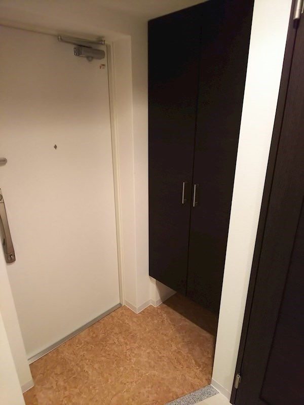 Luxeなかもず 玄関