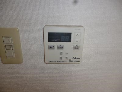 ミレニアム その他13