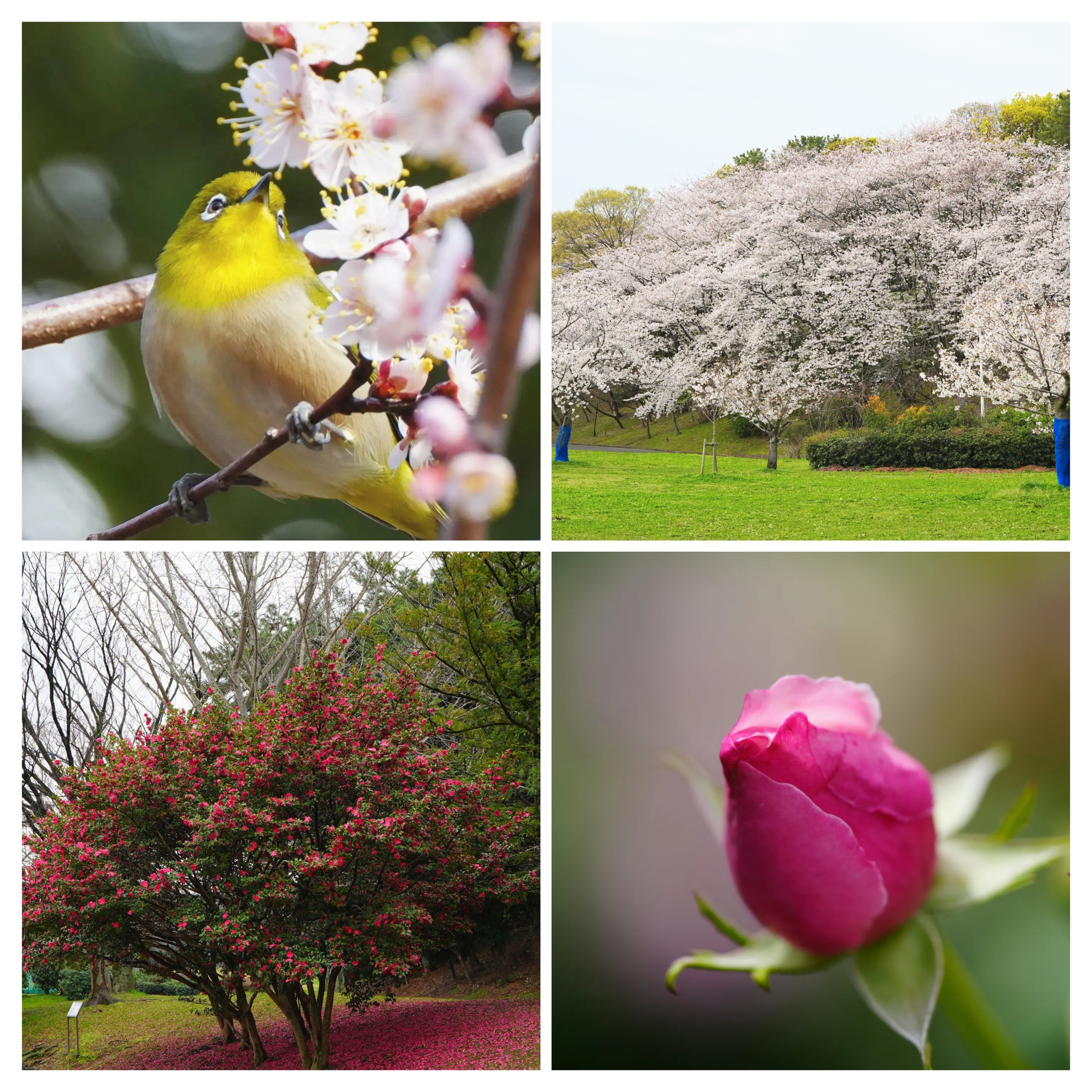 グローリアス金岡A棟 周辺画像6