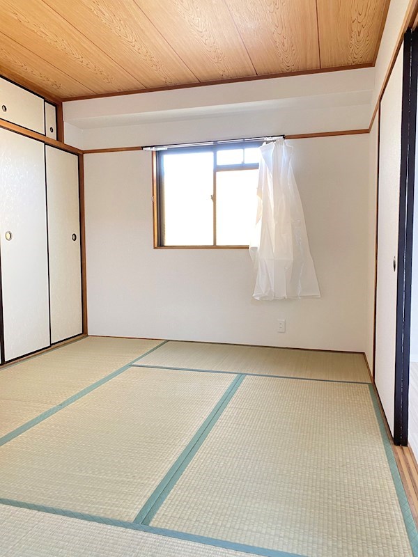 グレースアン  その他5