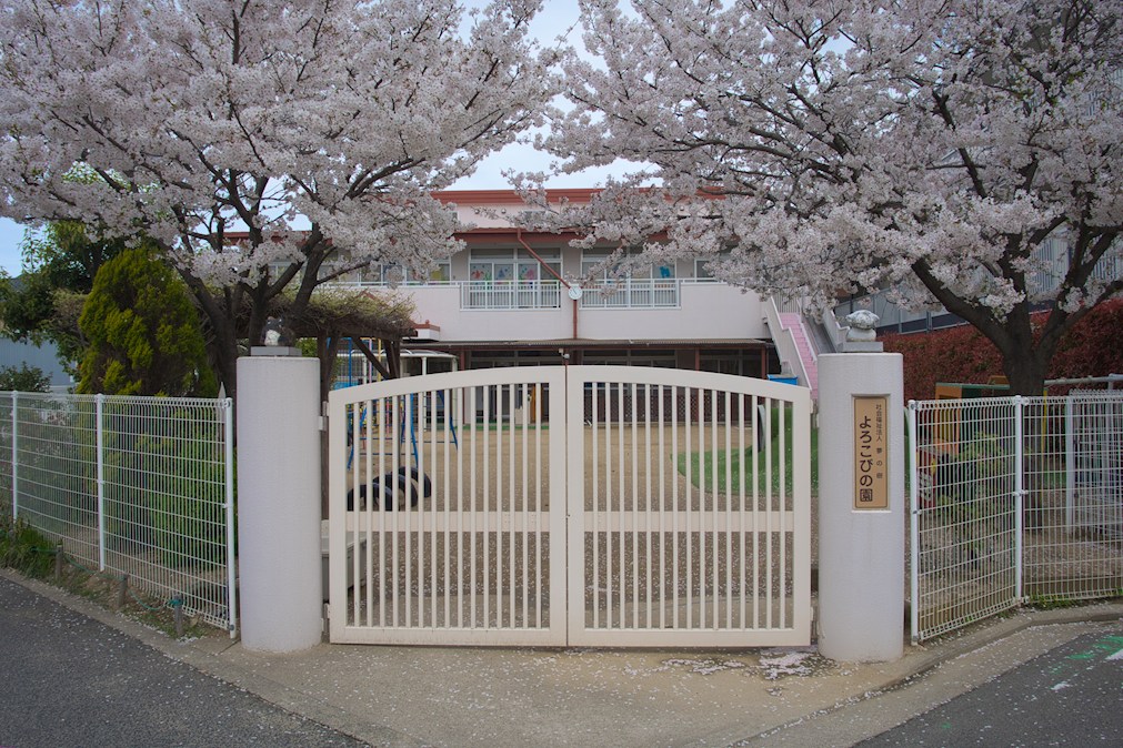 マンション藤Ⅱ 周辺画像3