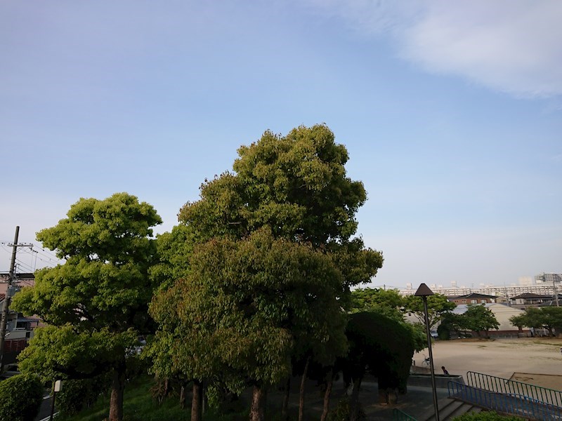 吉川美昌樹マンション  その他12