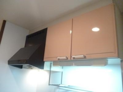 フジパレス初芝駅南Ⅱ番館 その他13