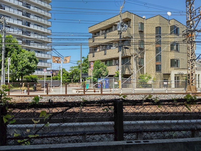 SEIBY朱鷺 （セイビートキ） その他16