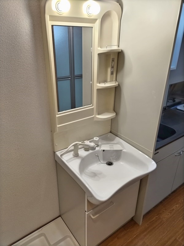 プレジオカーサ その他2