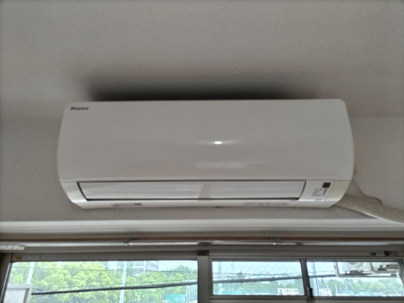 プレジオカーサ その他4