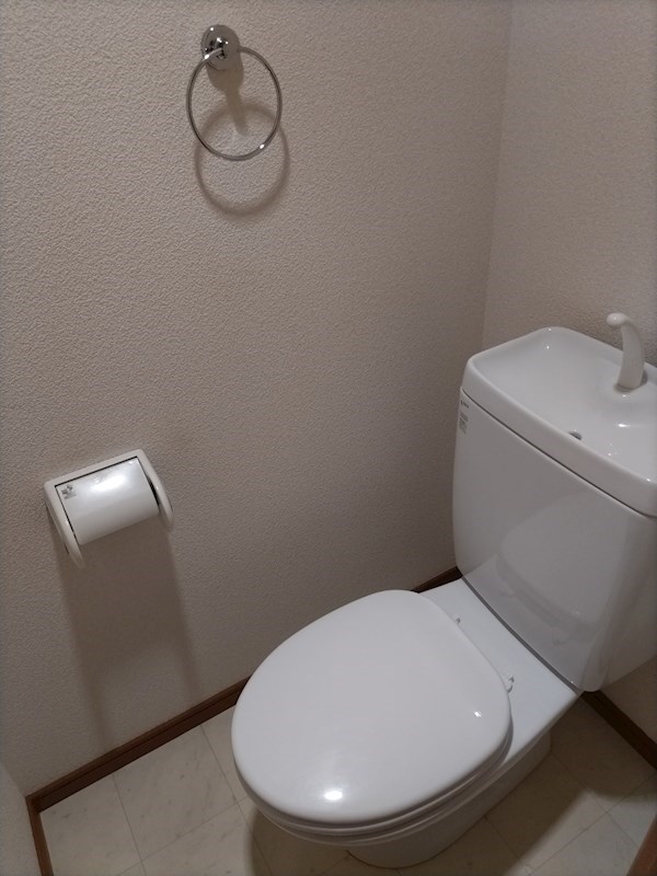 プレジオカーサ その他5