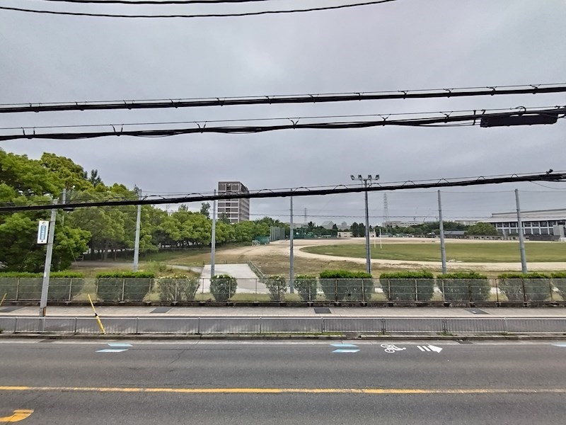 プレジオカーサ その他6