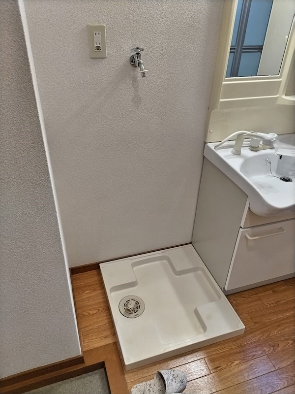 プレジオカーサ その他9