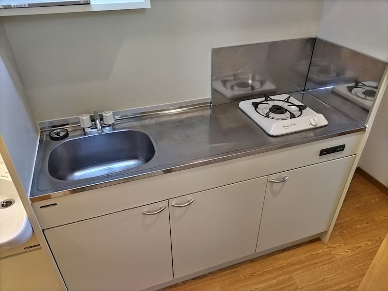 プレジオカーサ その他10