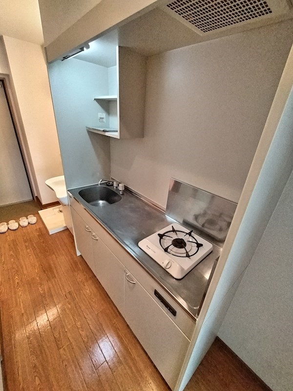 プレジオカーサ その他11