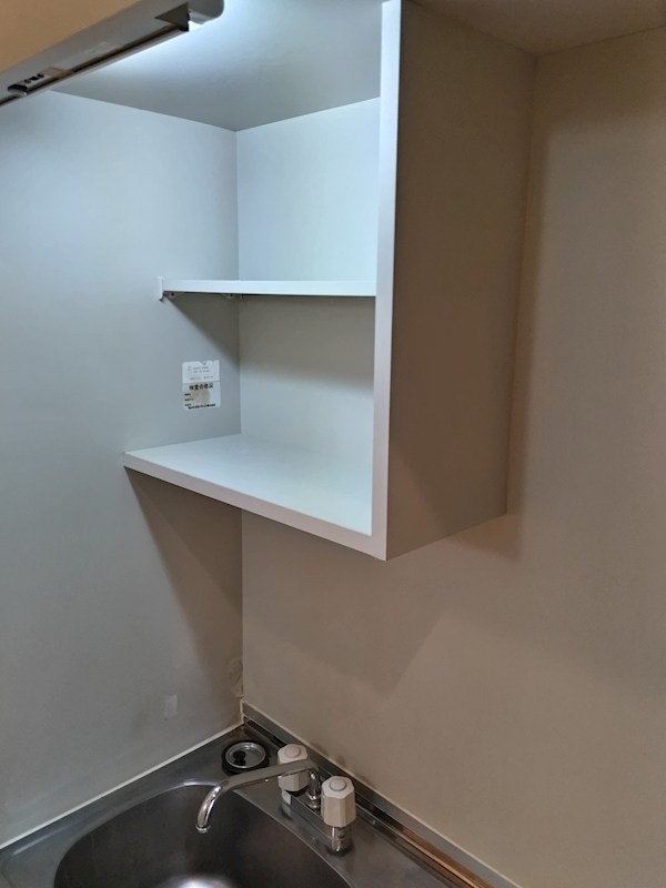 プレジオカーサ その他13