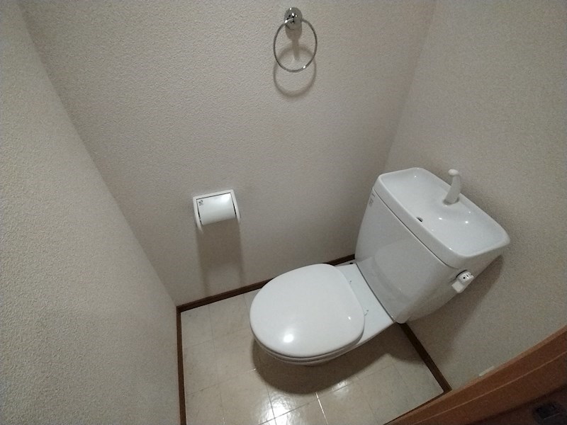 プレジオカーサ その他16