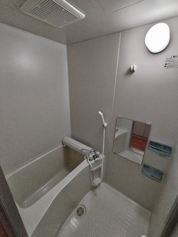 プレジオカーサ その他17