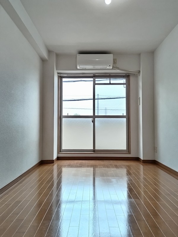 プレジオカーサ その他18