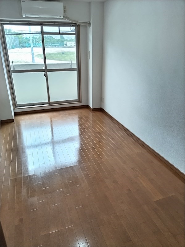 プレジオカーサ その他19