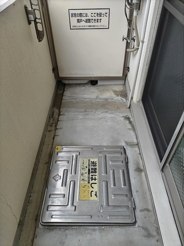 プレジオカーサ その他21