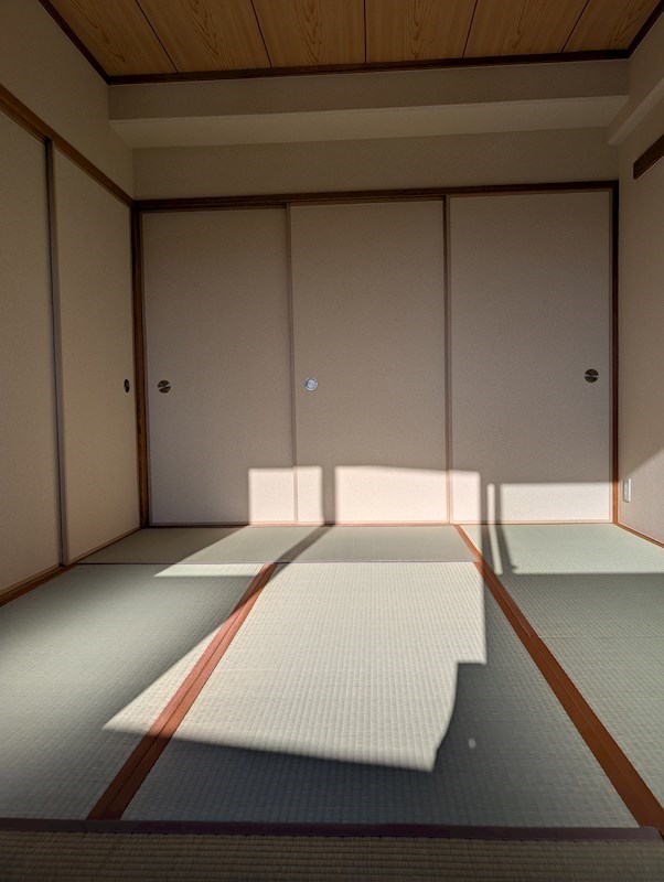 ボザビタン その他27