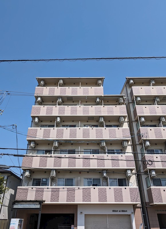 プレジオカーサ 外観