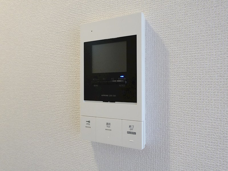 プレジオカーサ その他3