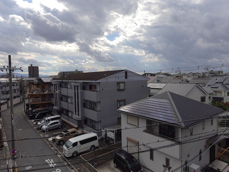 SEIBY朱鷺 （セイビートキ） その他1