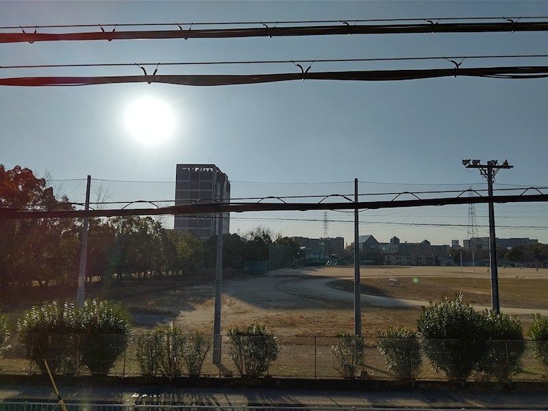 プレジオカーサ その他1